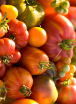 tomatoesunusual